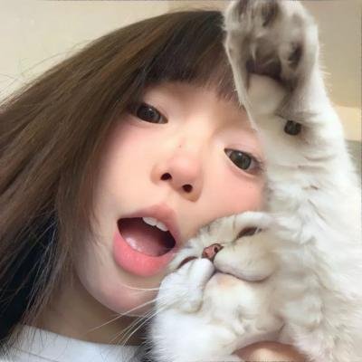 美国派:高潮再起